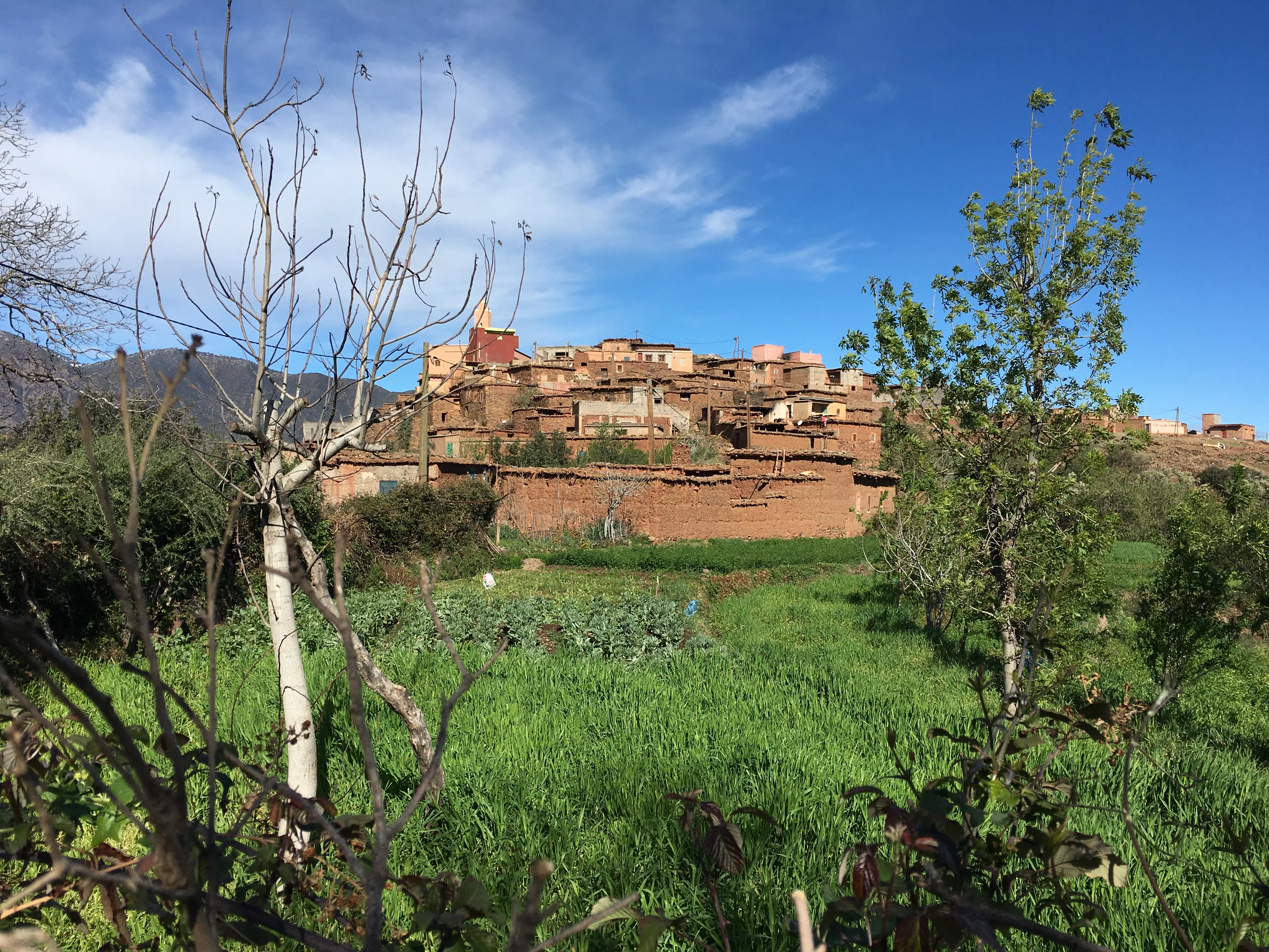 An earthen Berber village among the green slopes of the Ouirgane Valley