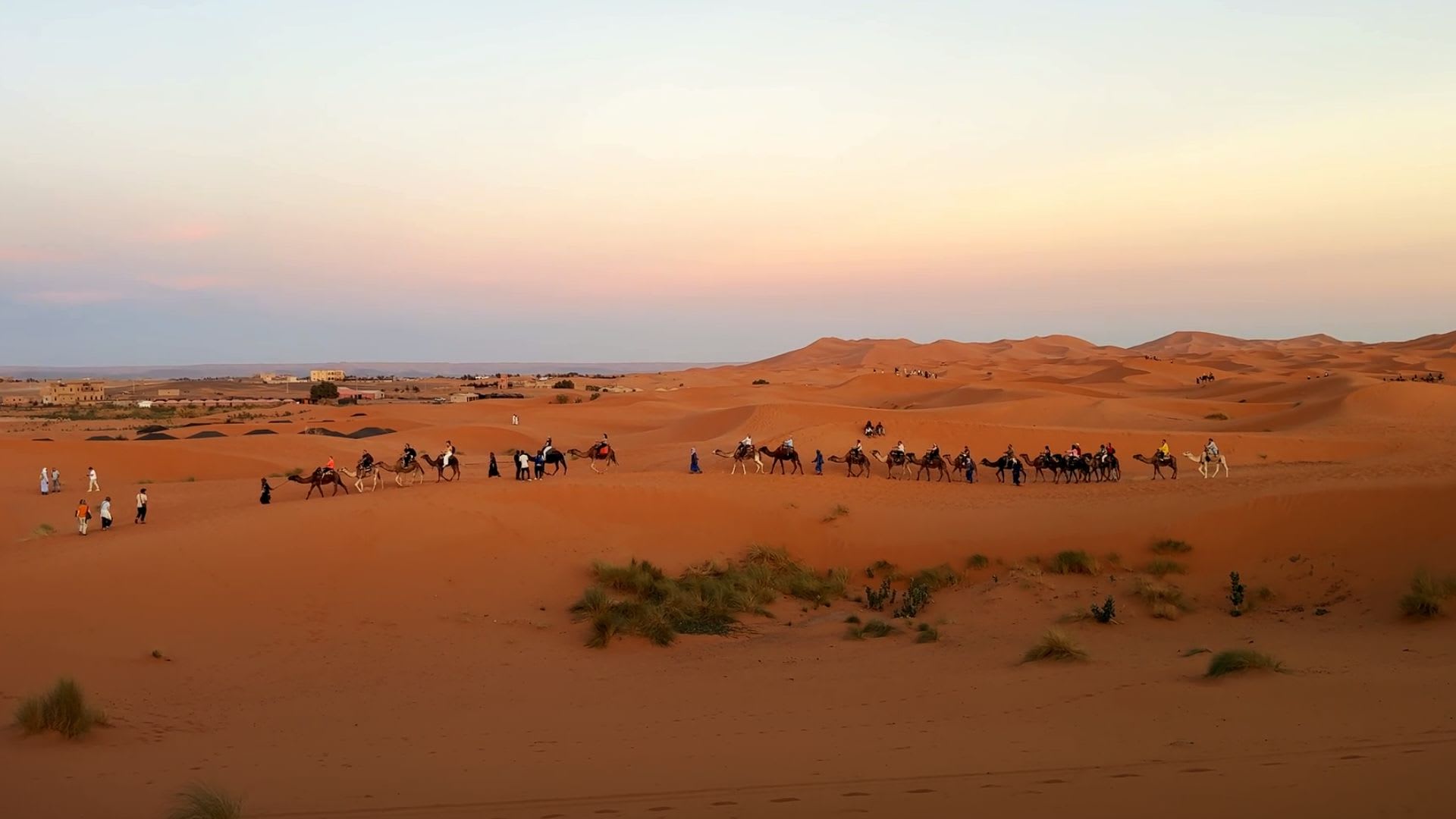 A long camel caravan crossing the warm dunes of the Moroccan Sahara at dusk